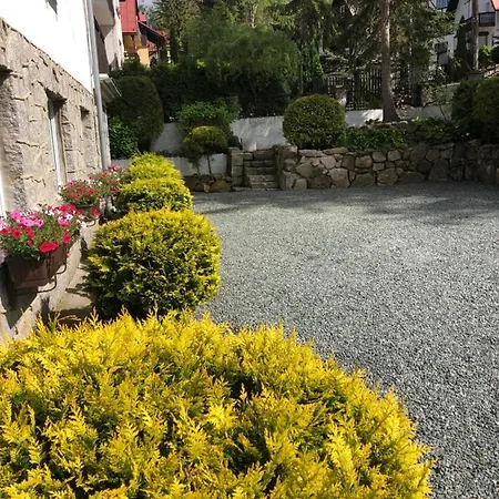 Emi 카르파츠